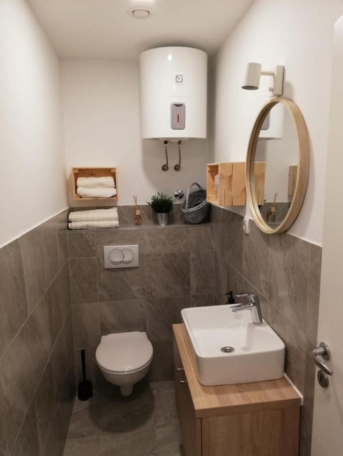Апартаменты Studio Apartman Fleiss Самобор Экстерьер фото